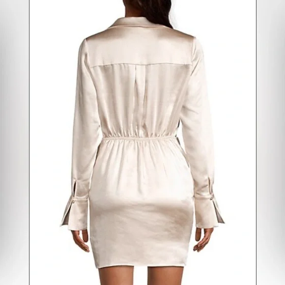 Bella Satin Minidress  from Line&Dot (Saks Fifth Avenue)- BRAND NEW - Picture 5 of 8